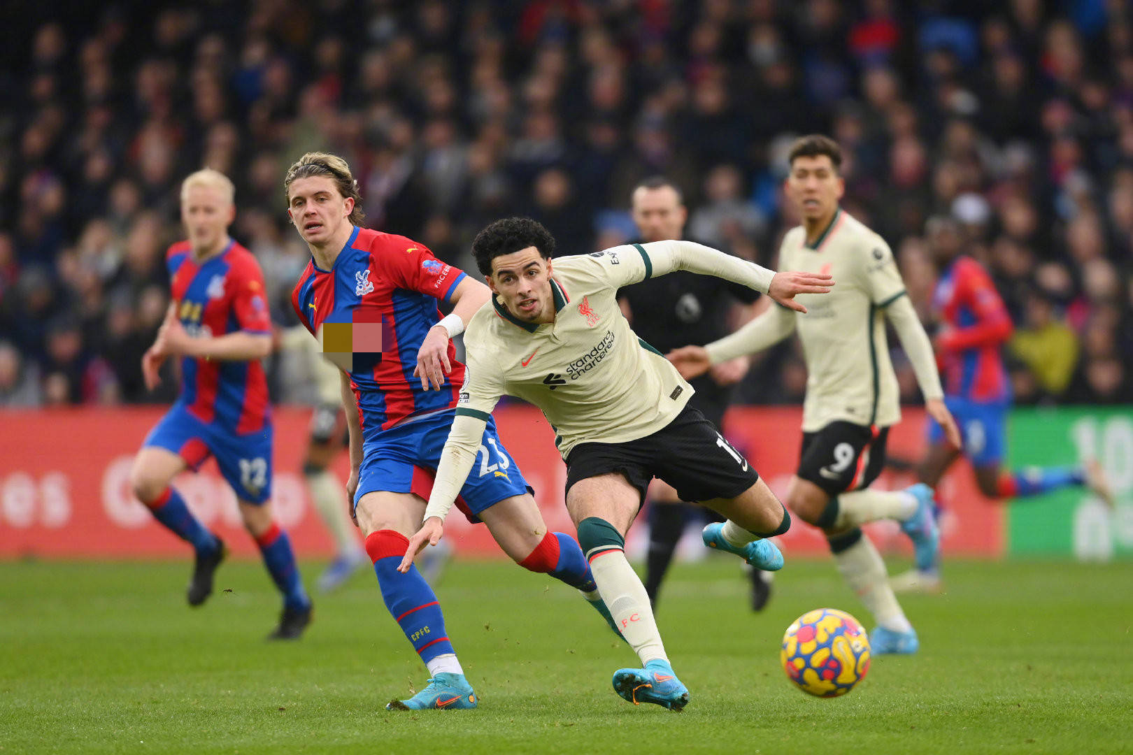 仅体现了海 仅体现了海